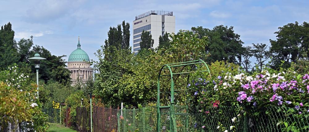 Seit 1900 besteht der Kleingartenverein „Am Hinzenberg“ direkt an der Havel - die Stadt hat trotzdem kein Interesse an dem Grundstück.