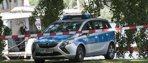 Ein Polizeiwagen steht in Berlin im Treptower Park. (Symbolbild)