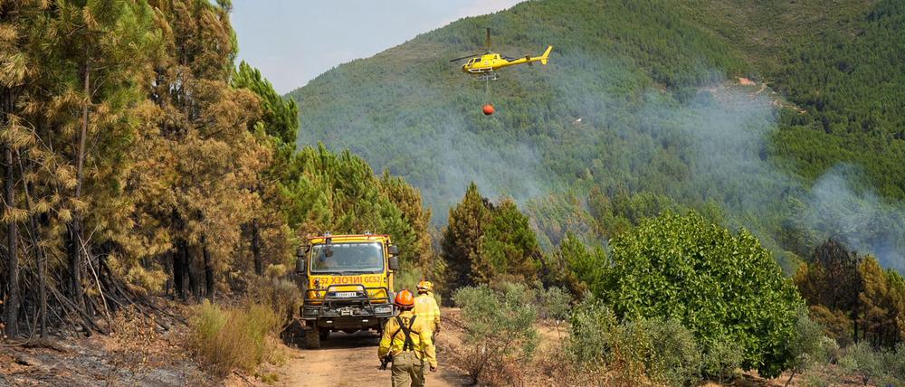 In Las Hurdes in der spanischen Region Cáceres konnte ein größerer Waldbrand nach mehreren Tagen unter Kontrolle gebracht werden.