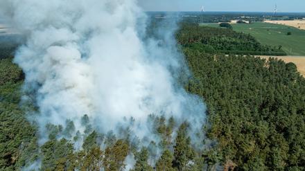 Die Waldbrandgefahr in Brandenburg wird in den nächsten Tagen wieder etwas größer (Archivbild).