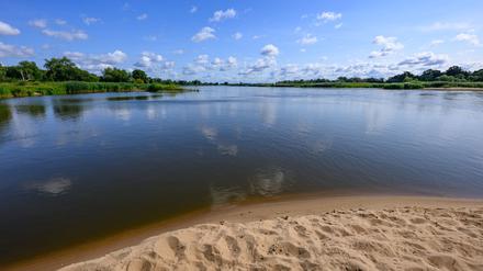Die Oder drei Jahre nach dem großen Fischsterben.