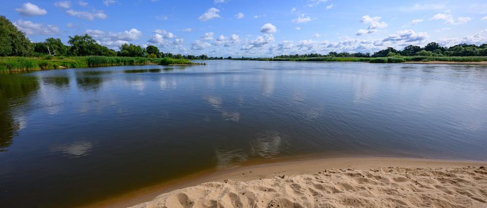 Die Oder drei Jahre nach dem großen Fischsterben.