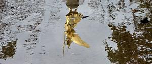 Die Siegessäule am Großen Stern im Berliner Tiergarten, gespiegelt in einer Regenpfütze.