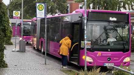 Die pinken Busse des Unternehmens Ecovista sichern den Schienenersatzverkehr ab Falkensee.