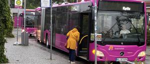 Die pinken Busse des Unternehmens Ecovista sichern den Schienenersatzverkehr ab Falkensee.
