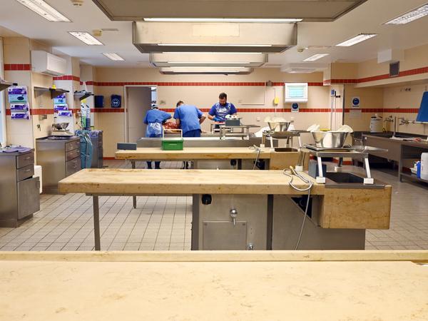 Dr. Philipp Möller, Facharzt für Rechtsmedizin am Institut für Rechtsmedizin der Charité in der Turmstraße in Berlin-Wedding mit seiner Assistentin Cindy und einem Praktikanten während der Obduktion einer Leiche.