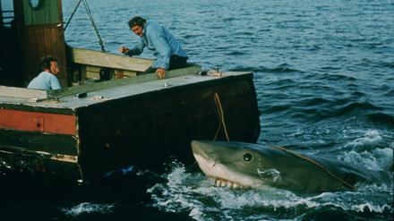 Der Film gilt als Geburtsstunde des Sommer-Blockbusters. Hier zu sehen Richard Dreyfuss (l) als Meeresbiologe und Robert Shaw (r) als Haifänger Quint.