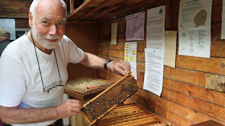 Uwe Meyer ist vom Imkern fasziniert. Hier zeigt er eine Wabe, auf der Arbeitsbienen krabbeln.