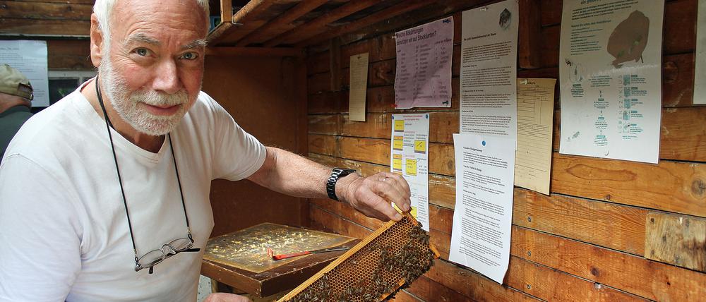 Uwe Meyer ist vom Imkern fasziniert. Hier zeigt er eine Wabe, auf der Arbeitsbienen krabbeln.