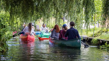 Urlauber fahren mit Paddelbooten auf einem Spreewaldfließ bei Schlepzig (Symbolbild).