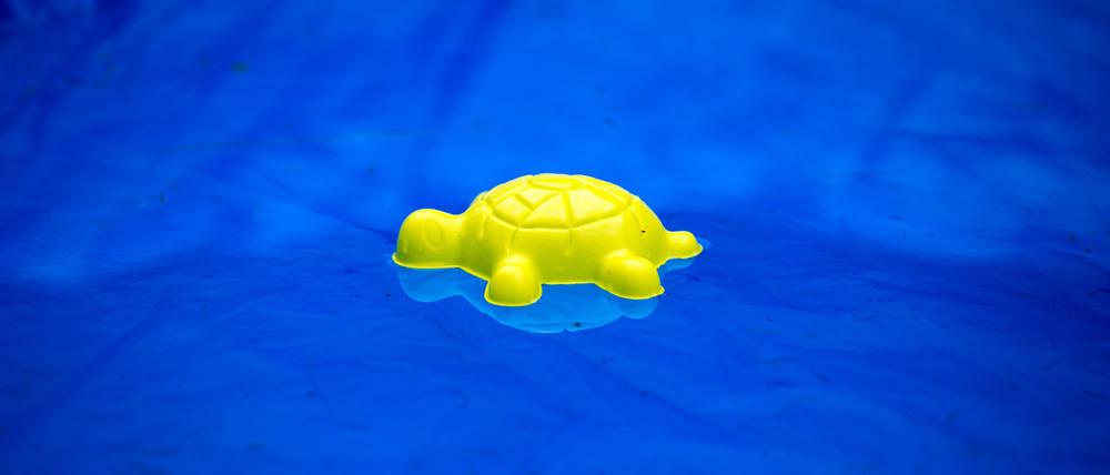 Die vermissten Kinder wurden tot in einem privaten Pool gefunden. (Symbolbild)
