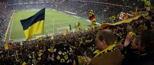 Schwarz und gelb sind die bekannten Farben von Borussia Dortmund.