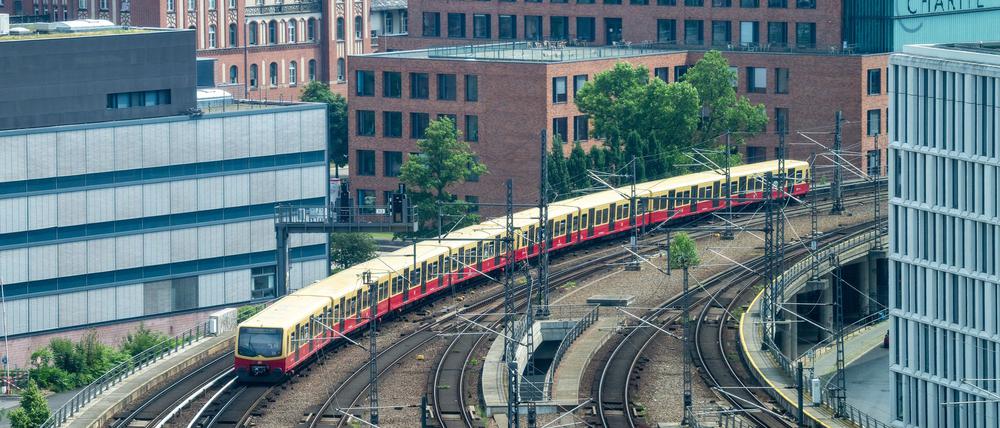 Die Ferngleise der Stadtbahn werden ab Mitte Juni 2026 für ein halbes Jahr gesperrt. Nur die S-Bahn fährt dann noch. (Archivbild)