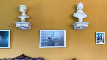 Edle Barockbüsten, süßes Kästchen. Fotos von Lars Eidinger im Pückler’schen Interieur. 