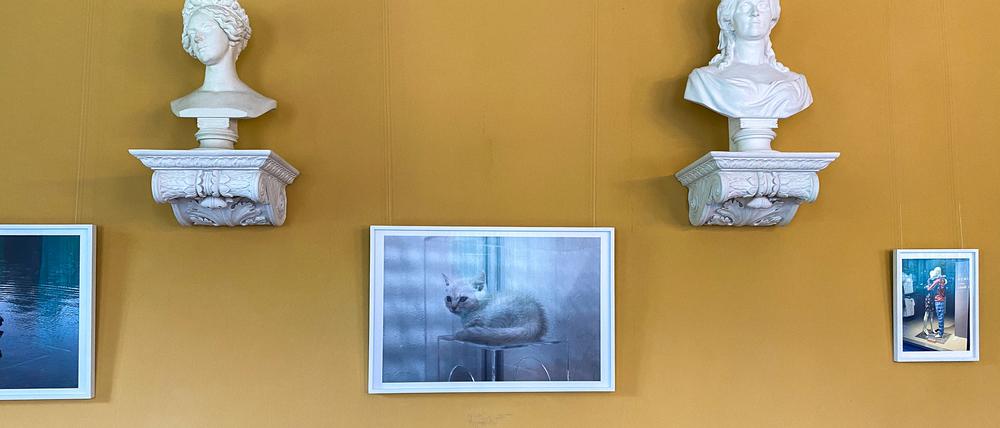Edle Barockbüsten, süßes Kästchen. Fotos von Lars Eidinger im Pückler’schen Interieur. 
