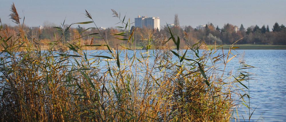 Im Spektesee in Spandau rät das Gesundheitsamt derzeit vom Baden ab.