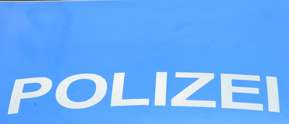 Ein Polizeiwagen steht vor dem Schloss Bellevue bei der Akkreditierung neuer Botschafterinnen und Botschafter in Deutschland. (Symbolbild)