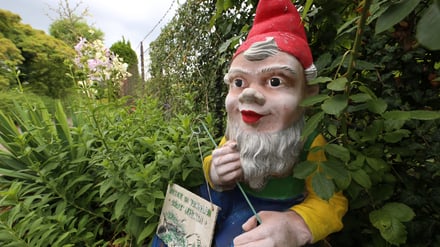 Das Potsdamer Kleingartenwesen sieht sich bedroht. (Symbolbild)