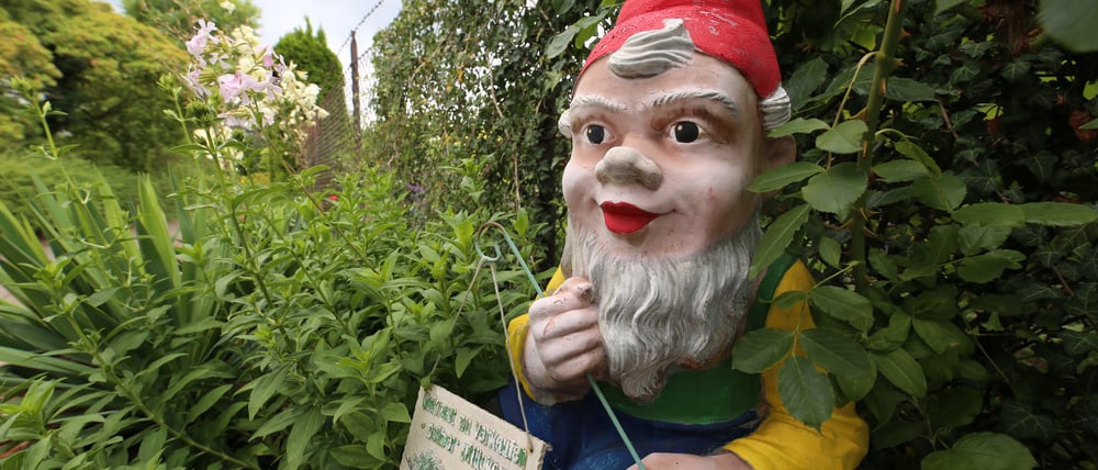 Das Potsdamer Kleingartenwesen sieht sich bedroht. (Symbolbild)