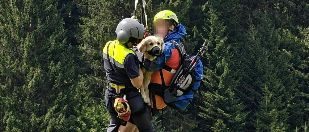 Die schwer verletzte Hündin eines deutschen Urlauberpaars wird am Mittwoch, 6. August 2025, nach einem Sturz über steiles Gelände in Mittelberg (Kleinwalsertal) per Hubschrauber geborgen. 