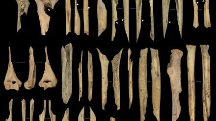Forschende haben in der spanischen Höhle El Mirador menschliche Überreste gefunden, die auf Kannibalismus vor einigen Tausend Jahren hindeuten.