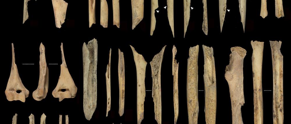 Forschende haben in der spanischen Höhle El Mirador menschliche Überreste gefunden, die auf Kannibalismus vor einigen Tausend Jahren hindeuten.