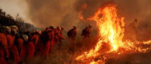 Die kalifornische Feuerwehr versucht intensiv, das „Canyon Fire“ nordwestlich von Los Angeles zu bekämpfen.
