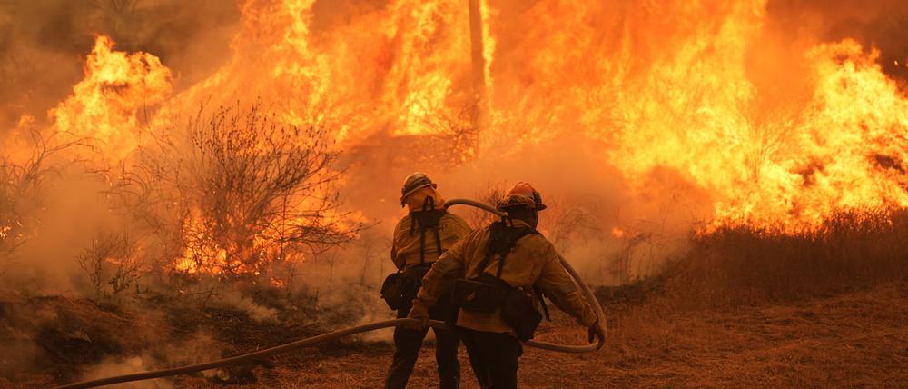 Die Flammen in Kalifornien haben vielen Menschen in die Flucht geschlagen. 