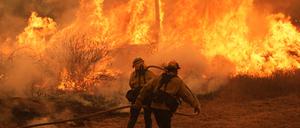 Die Flammen in Kalifornien haben vielen Menschen in die Flucht geschlagen. 