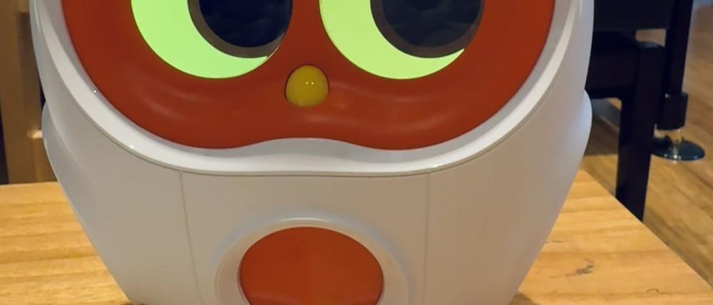 Luka, der Vorleseroboter