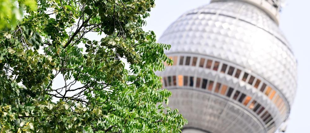 Der Juli war in Berlin ungewöhnlich nass.