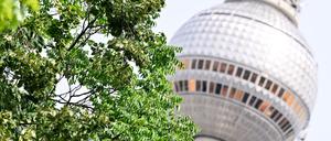 Der Juli war in Berlin ungewöhnlich nass.