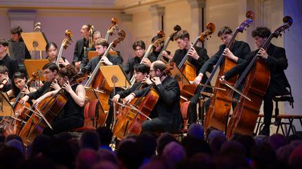 Anspruchsvoller Auswahlprozess: Die Mitglieder des Schleswig-Holstein Festival Orchestra stammen aus der ganzen Welt. 