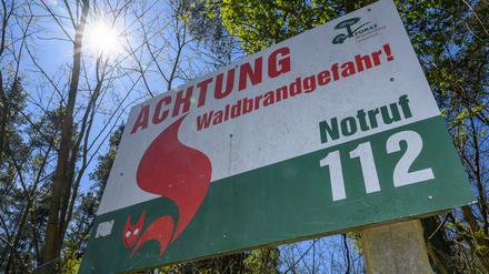Sommer, Sonne und trockenes Wetter - auch das Waldbrandrisiko steigt wieder. (Archivbild)
