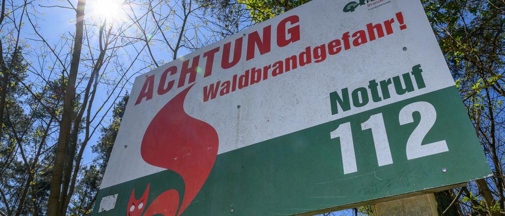 Sommer, Sonne und trockenes Wetter - auch das Waldbrandrisiko steigt wieder. (Archivbild)
