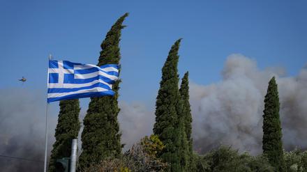 Die Behörden prüfen weiter die Ursachen der Feuer. In einer Ortschaft nahe Athen vermutet der Bürgermeister Brandstiftung. 