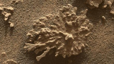 „Paposo“ haben die Nasa-Forschenden diesen Stein genannt, der hier etwa fünf Zentimeter von der Linse der MAHLI-Kamera entfernt liegt.