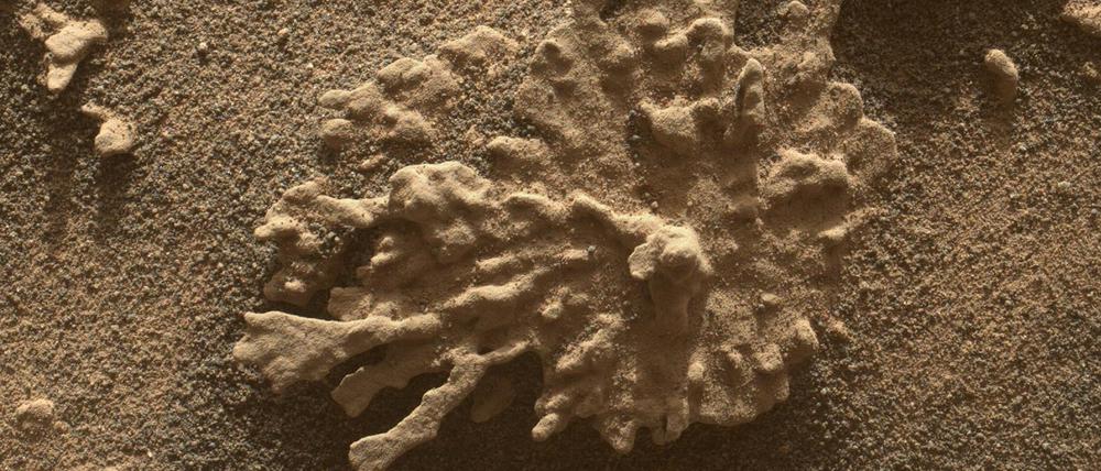 „Paposo“ haben die Nasa-Forschenden diesen Stein genannt, der hier etwa fünf Zentimeter von der Linse der MAHLI-Kamera entfernt liegt.