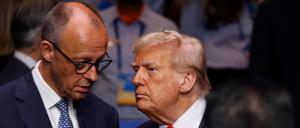 Friedrich Merz und Donald Trump