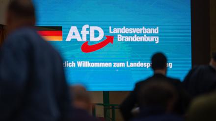 Die Brandenburger AfD bei ihrem Parteitag im März 2024 in Jüterbog. 