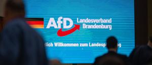Die Brandenburger AfD bei ihrem Parteitag im März 2024 in Jüterbog. 