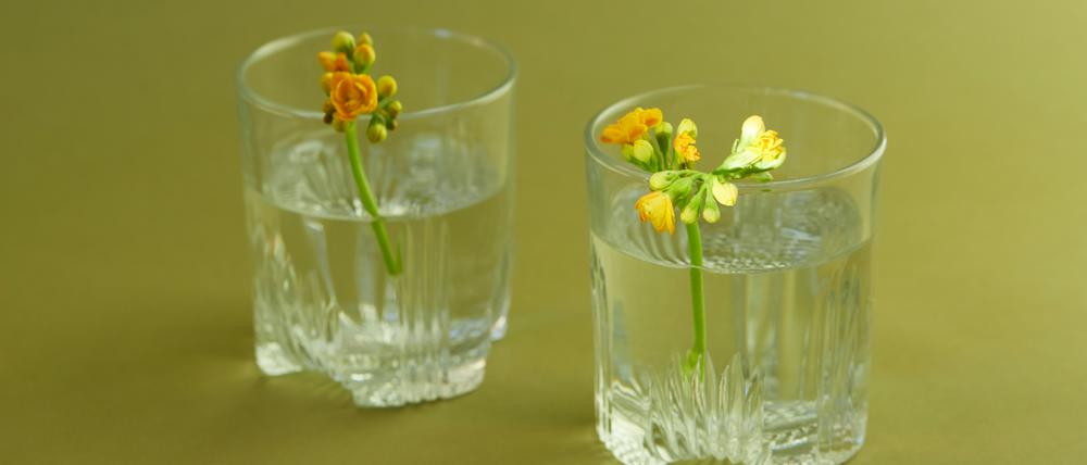 Ist Leben im All auch ohne Wasser möglich? 