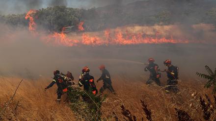  Flammen und Rauch steigen aus brennenden Bäumen auf, während Feuerwehrleute weiterhin versuchen, den Brand zu löschen.