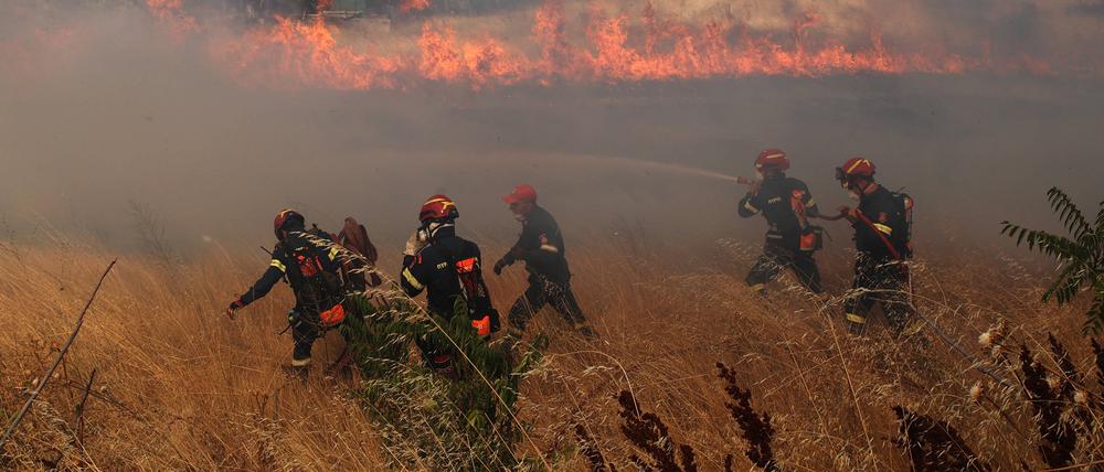 Flammen und Rauch steigen aus brennenden Bäumen auf, während Feuerwehrleute weiterhin versuchen, den Brand zu löschen.
