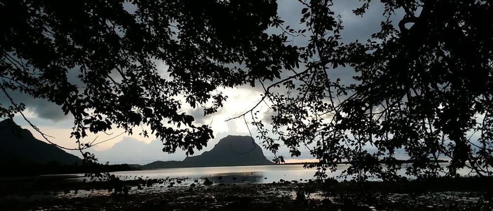 Der Berggipfel Le Morne Brabant auf Mauritius