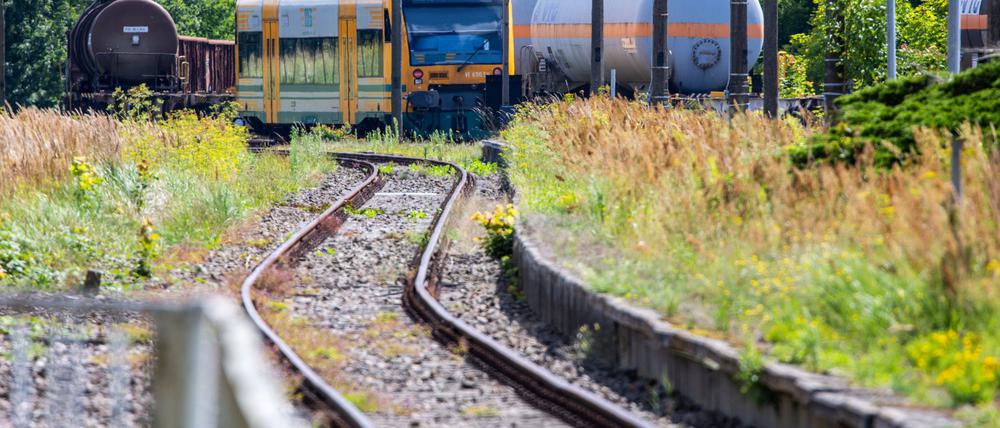 MV und Brandenburg prüfen derzeit den Ausbau von Bahnstrecken.