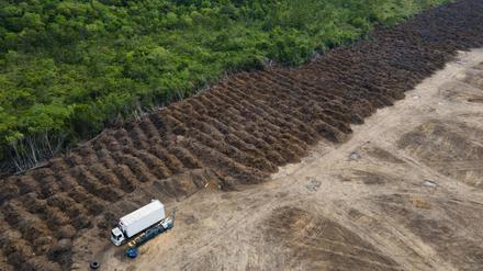 Im brasilianischen Amazonasgebiet sind seit 1985 rund 52 Millionen Hektar Natur verloren gegangen – eine Fläche größer als Spanien. (Archivbild)