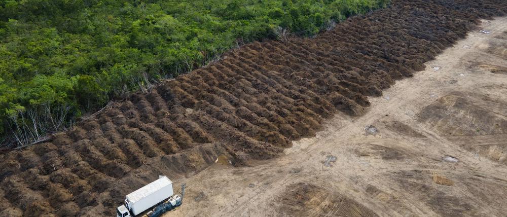 Im brasilianischen Amazonasgebiet sind seit 1985 rund 52 Millionen Hektar Natur verloren gegangen – eine Fläche größer als Spanien. (Archivbild)