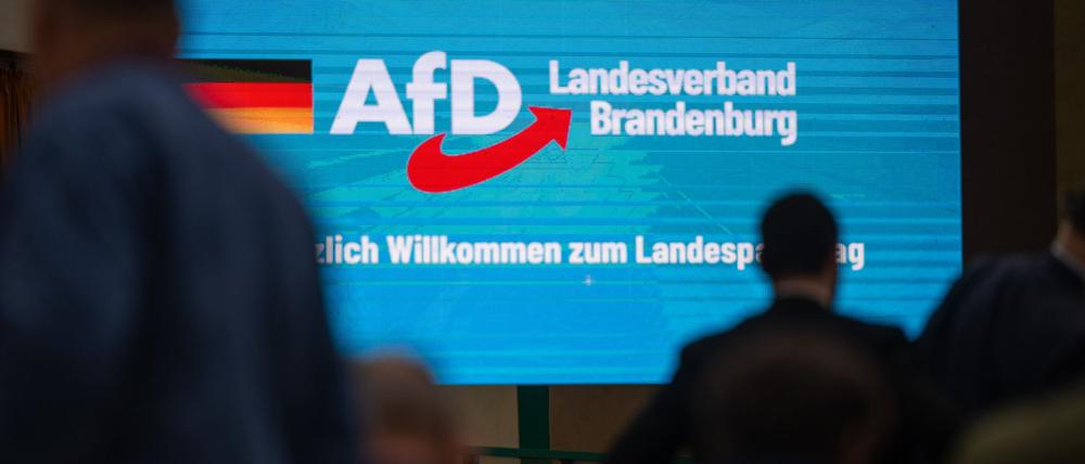 Der Innenminister legt die Begründung dafür vor, warum die AfD in Brandenburg als gesichert rechtsextremistische Bestrebung eingestuft wird. (Symbolbild)