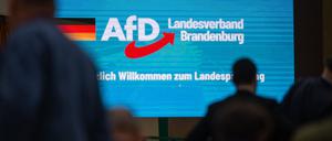 Der Innenminister legt die Begründung dafür vor, warum die AfD in Brandenburg als gesichert rechtsextremistische Bestrebung eingestuft wird. (Symbolbild)